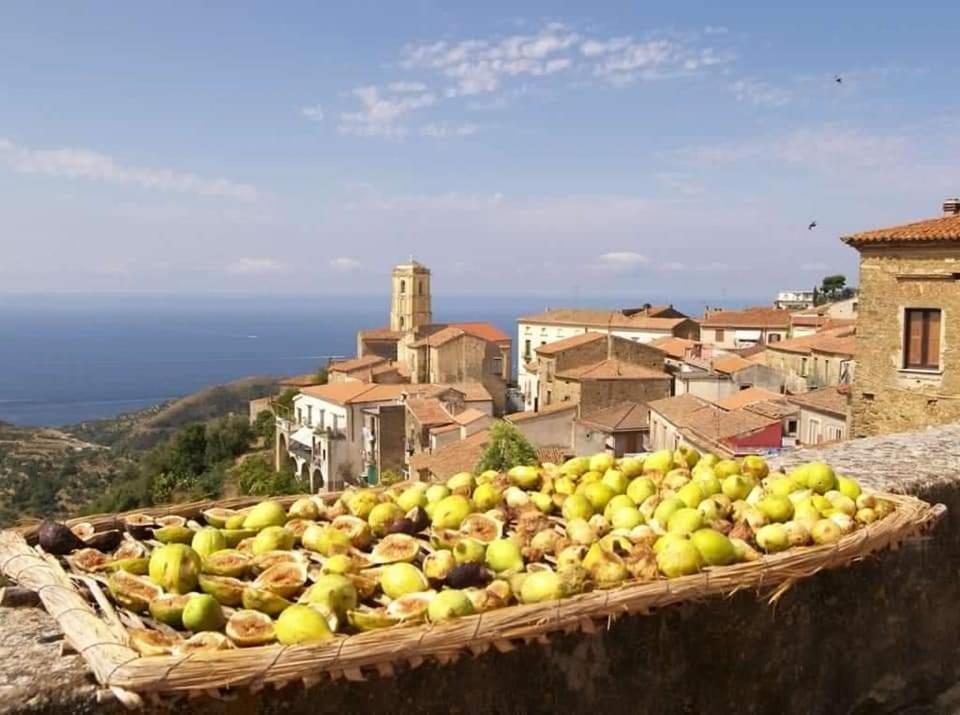 Carmineholidayhouse Pollica Exterior foto